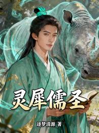 灵犀儒圣 封面