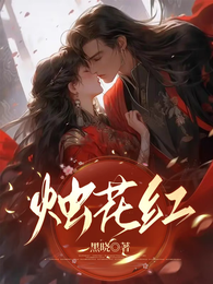烛花红 封面