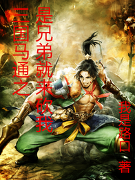 三国马通之是兄弟就来砍我 封面