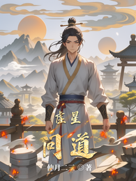 虚星问道 封面