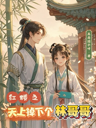 红楼之天上掉下个林哥哥 封面