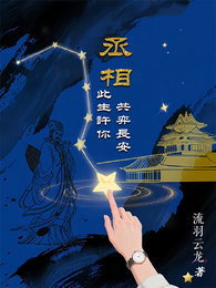 丞相,此生许你共弈长安 封面