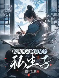 搅动风云的竟是个私生子 封面