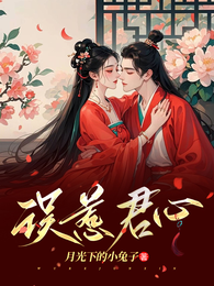 误惹君心 封面