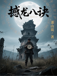 撼龙八诀 封面