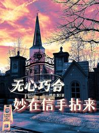 无心巧合,妙在信手拈来 封面