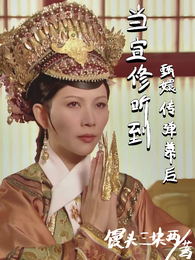 当宜修听到甄嬛传弹幕后 封面