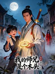 我的师兄是个木头 封面