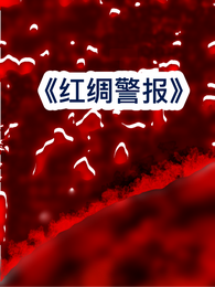红绸警报 封面