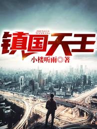 镇国天王 封面