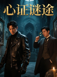 心证谜途 封面