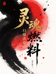 灵魂燃料:归墟清道夫 封面