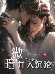 微暗,并入沉沦 封面