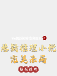 悬疑推理小说完美杀局 封面