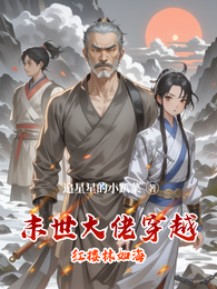 末世大佬穿越红楼林如海 封面