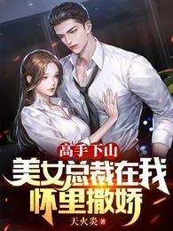 高手下山,美女总裁在我怀里撒娇 封面