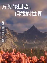 万界轮回者，但我的世界 封面