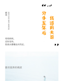 分手五年后,我追前夫哥 封面