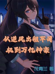 从逆风出租车司机到万亿神豪 封面