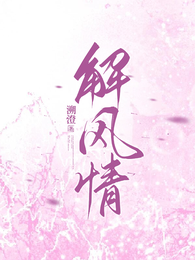 解风情 封面
