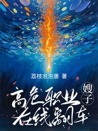 高危职业嫂子在线翻车 封面