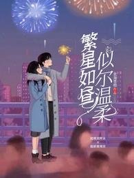 繁星如昼似尔温柔 封面