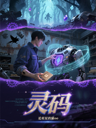 灵码 封面