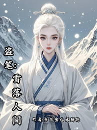 盗墓之雪落人间 封面