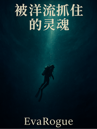 被洋流抓住的灵魂 封面