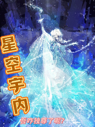 星空宇内吾咋独尊了了呢 封面