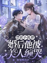 禁欲小狐狸，婚后他被美人缠哭 封面