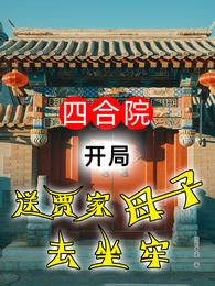 四合院：开局送贾家母子去坐牢 封面