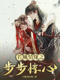 若曦情缘之步步惊心 封面