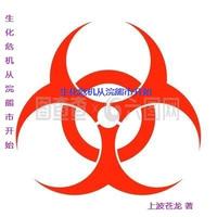 生化危机从浣熊市开始 封面