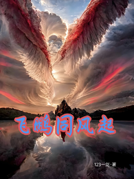 飞鹏同风起 封面