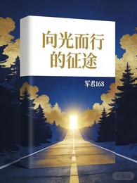 向光而行的征途 封面