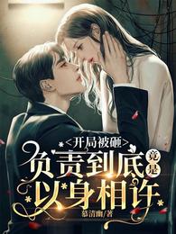 开局被砸,负责到底竟是以身相许 封面