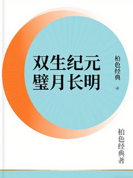 双生纪元璧月长明 封面