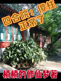 四合院:傻柱正常了 封面