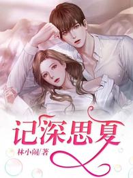 记深思夏 封面