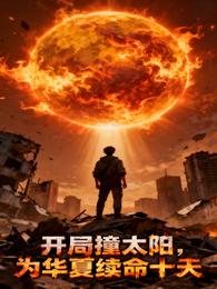 开局撞太阳，为华夏续命十天 封面