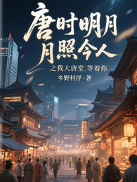 唐时明月照今人 封面