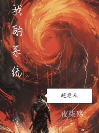 我的系统超逆天 封面