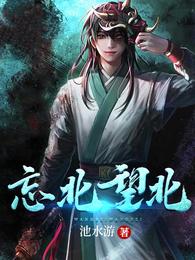 忘北望北 封面