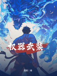 权器武装 封面