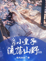 女尊小皇子流落山野GB 封面
