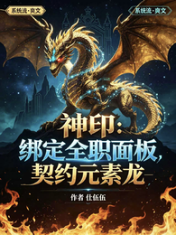 神印:绑定全职面板,契约元素龙 封面
