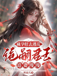 藏孕肚去逃荒,绝嗣君王追妻漫漫 封面