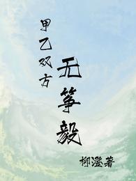甲乙双方无筝毅 封面