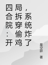 四合院:开局拆穿偷鸡,系统炸了 封面